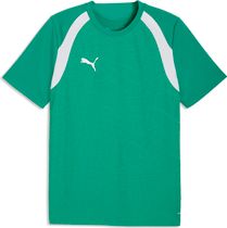 Puma Teamcup Training Shorts Herren Laufshorts