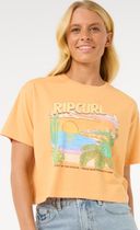 LA Paloma Crop Tee