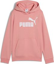 Essentials No. 1 Logo Hoodie TR G