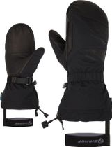 Gaikus ASR AW Mitten Glove Ski Alpine