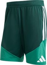 adidas Algeria 26 Training Shorts