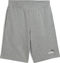 Essentials 2 Color No. 1 Logo Shorts 10" TR