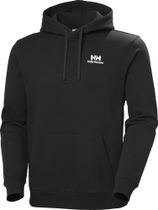 Helly Hansen Core Graphic Hoodie