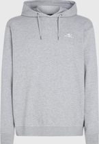O'neill Small Logo Hoodie