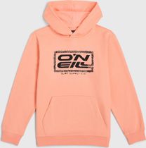 O'neill Logo Hoodie