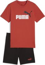 Essentials 2 Color No. 1 Logo Tee and Shorts Set B