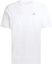 adidas Color Icon Graphic T-shirt