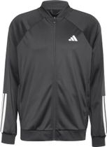 adidas Club Tennis 3-STRIPES Knitted Jacket