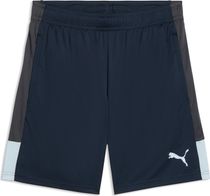Puma Individualliga Training Shorts Herren Laufshorts