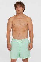 O'neill Vert 16'' Swimshorts