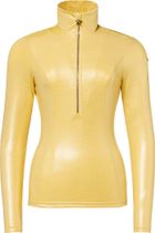 Wink Ski Pully