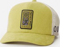 Search Dawn Trucker