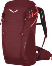 ALP Trainer 20 WS