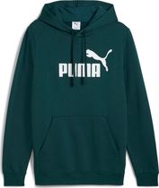 Essentials No. 1 Logo Hoodie FL (s)