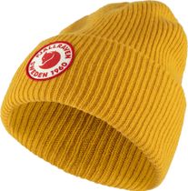 1960 Logo Hat