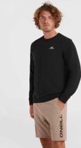O'neill Small Logo Crew