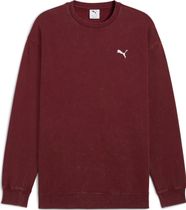 Essentials Elevated Relaxed Wash Crew FL