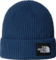 Salty Lined Beanie