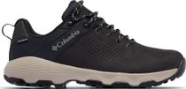 Newton Nimble LTR