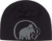 Logo Beanie