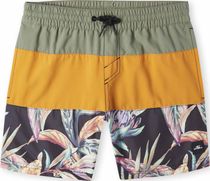 Cali Block 13'' Swim Shorts