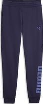 Puma Essentials Logo LAB Metallic Sweatpants TR cl
