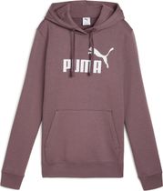 Essentials No. 1 Logo Hoodie FL (s)