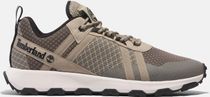 Mens Low Lace UP Sneaker