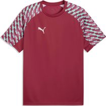 Puma teamFINAL26 Training Shorts Herren Laufshorts
