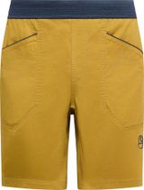 Roots Shorts Men