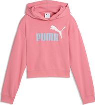 Essentials 2 Color No. 1 Logo Short Length Hoodie TR G