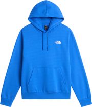 The North Face Mens Evolution Box NSE Regular Hoodie