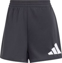 adidas Workout Essentials Big Performance Logo Training Shorts