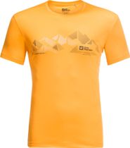 Peak Graphic T M