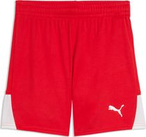 Puma teamLIGA26 Shorts Outdoor Shorts für Jungen