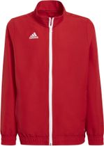 Entrada 22 Presentation Track Top