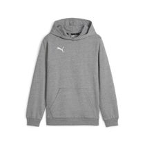 Teamgoal Casuals Hoody Jr