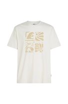 O'neill Melange Front Print T-shirt