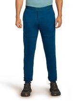 Men Mer 300 Realfleece Descend Jogger