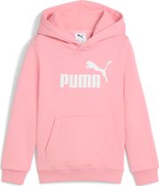 Essentials No. 1 Logo Hoodie FL PS