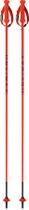 One Way RD 16 SL Pro Ski poles