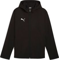 Puma Teamevostripe Hoody