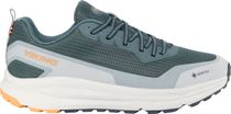 Motion Low GTX M