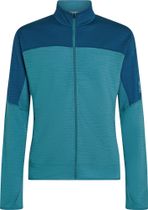 Men Mer 300 Realfleece Descend Long Sleeve Zip