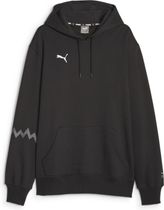 Puma Hoops Team Hoodie