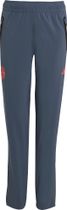 adidas FC Bayern Muenchen Tiro25 Competition Vis Tech Travel Pant Kids