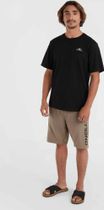 O'neill Logo Sweatshorts