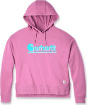 Carhartt Tencel Fibre Series Loose Fit Fall Graphic Hooded Sweatshirt
