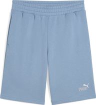 Essentials 2 Color No. 1 Logo Shorts 10" TR