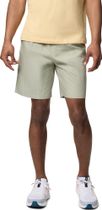 Washed Out Easy Short